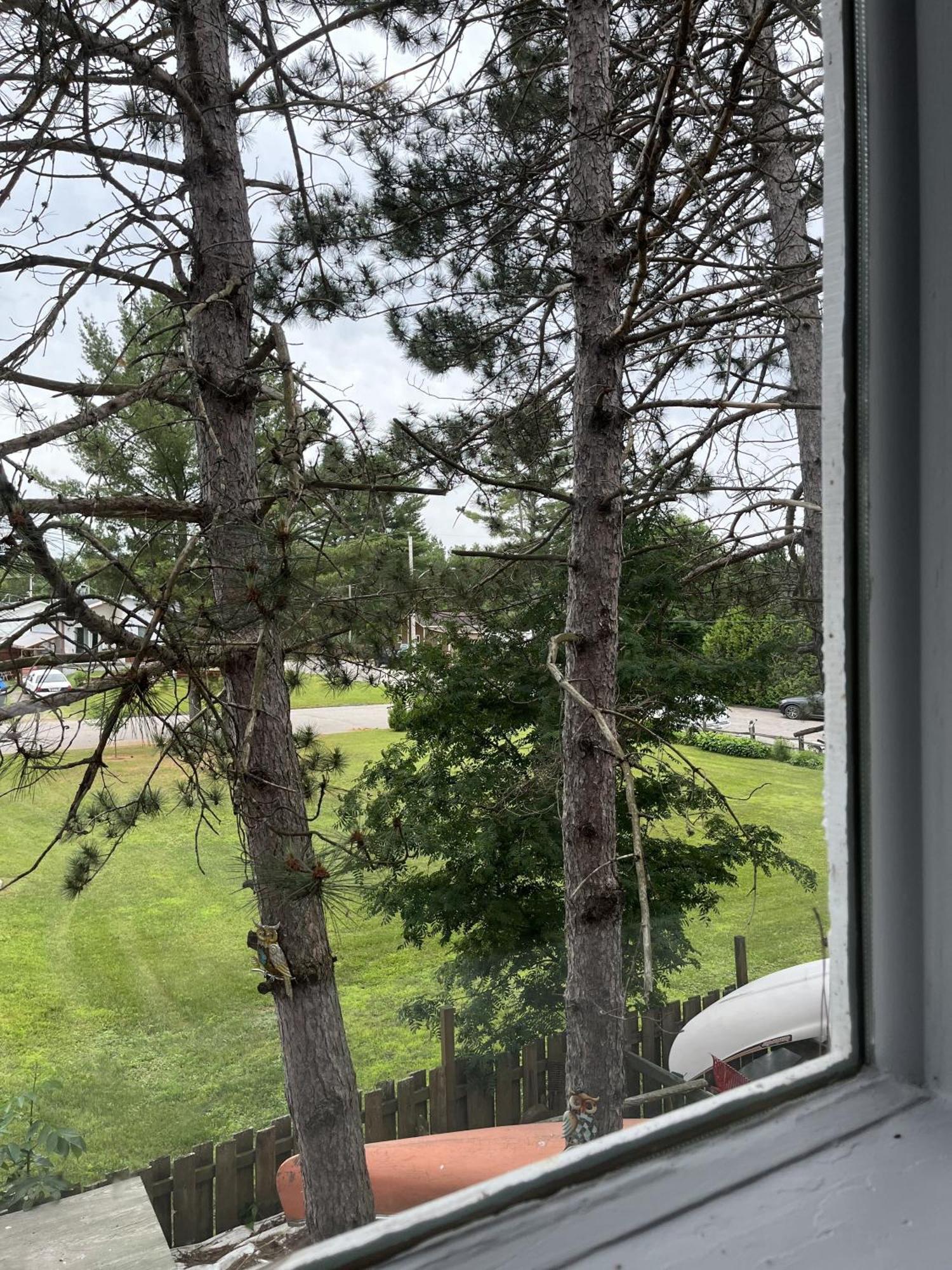 Auberge De Ferme-Neuve Lac-Saint-Paul Экстерьер фото